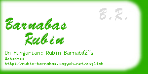 barnabas rubin business card